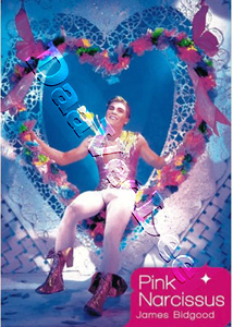 Pink Narcissus |   DVD